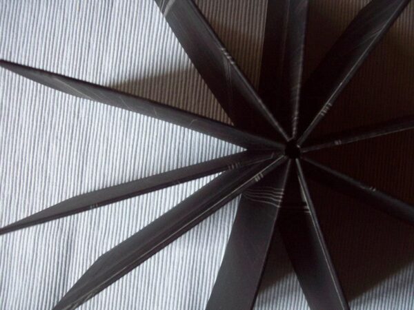 black star - Image 2