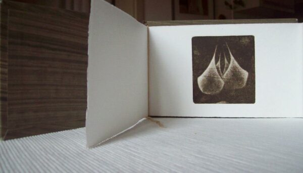 couple - Image 4